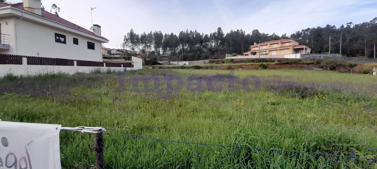 Terreno para Venda em Canedo, Vale e Vila Maior Foto 2