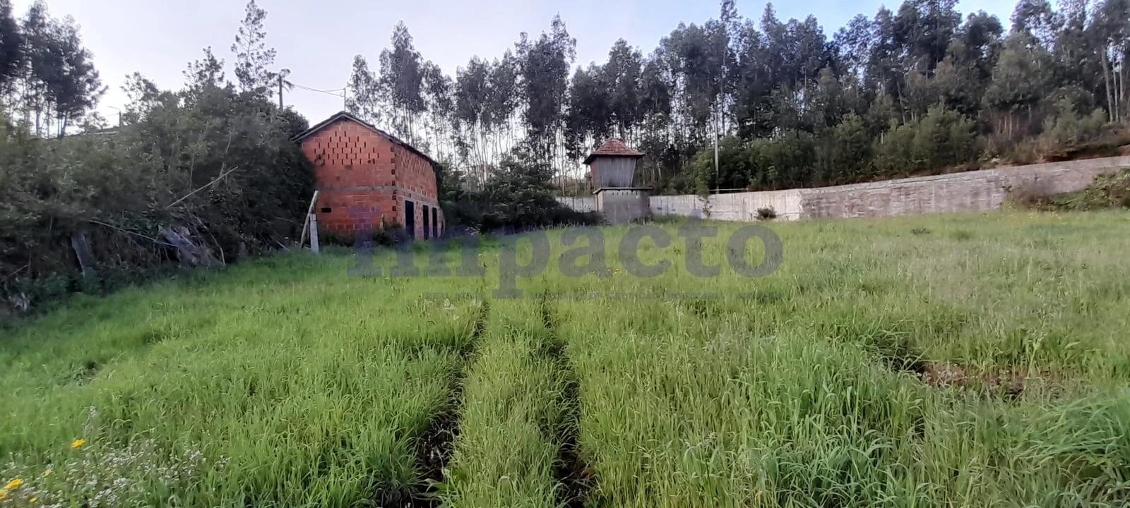 Terreno para Venda em Canedo, Vale e Vila Maior Foto 6