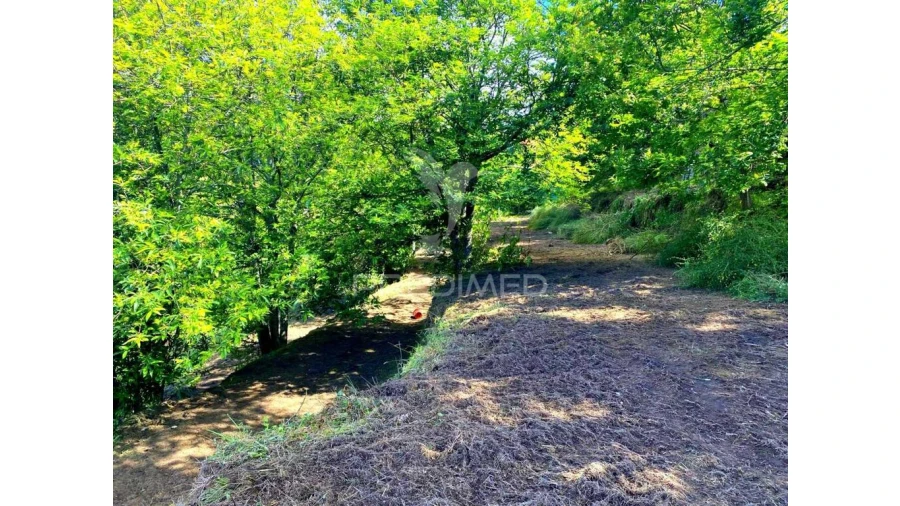 Moradia T3 para Venda em Sande, Vilarinho, Barros e Gomide Foto 9