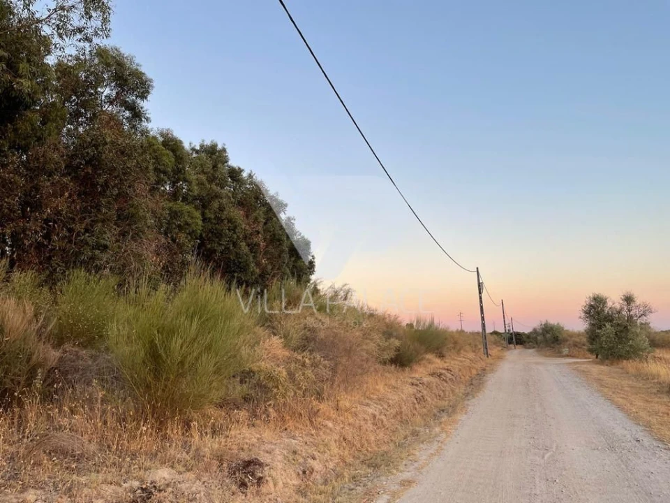 Terreno P/ Prédio para Venda em Alcains Foto 3