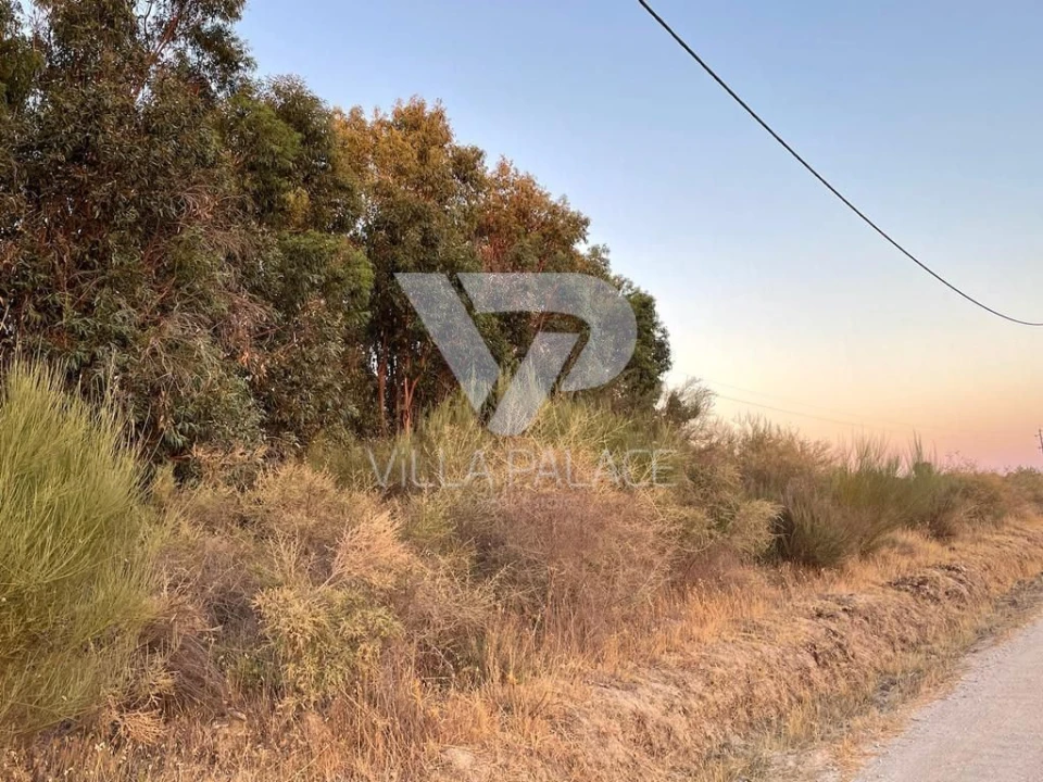 Terreno P/ Prédio para Venda em Alcains Foto 4