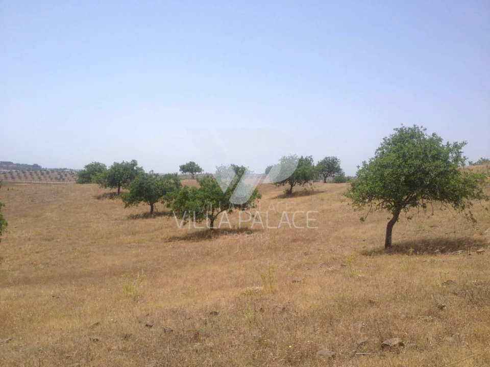 Terreno Misto para Venda em Castro Marim Foto 7