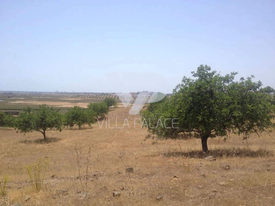 Terreno Misto para Venda em Castro Marim Foto 11