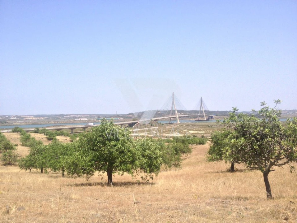 Terreno Misto para Venda em Castro Marim Foto 13