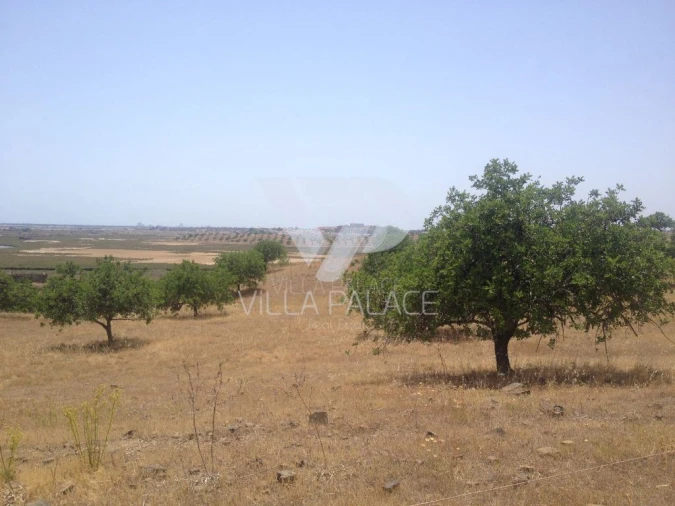 Terreno Misto para Venda em Castro Marim Foto 11