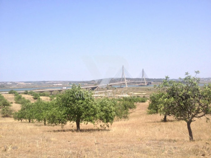 Terreno Misto para Venda em Castro Marim Foto 13