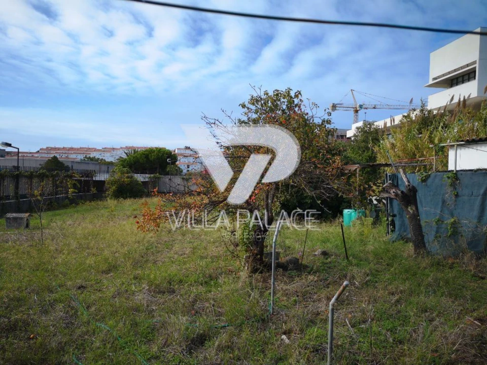 Terreno P/ Prédio para Venda em Ajuda Foto 2