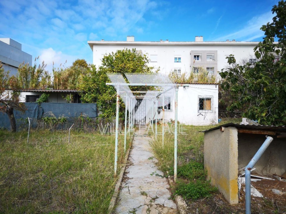Terreno P/ Prédio para Venda em Ajuda Foto 9