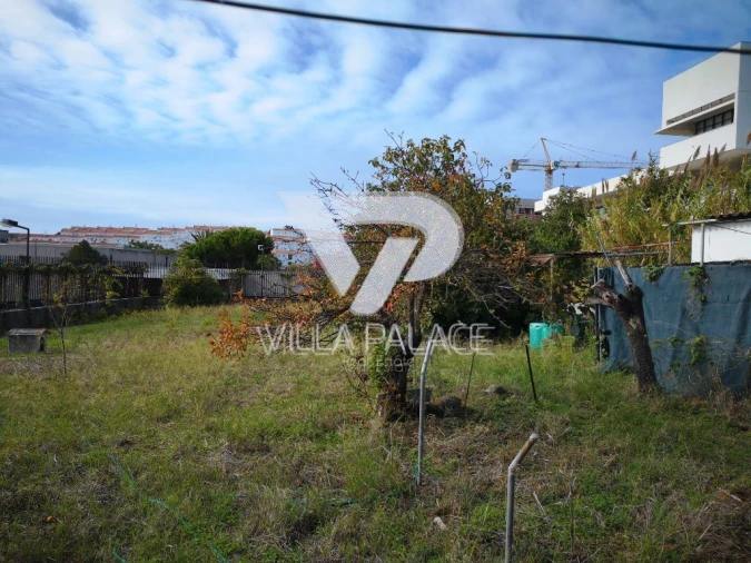 Terreno P/ Prédio para Venda em Ajuda Foto 2