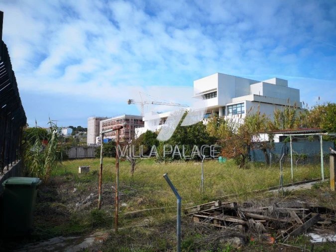 Terreno P/ Prédio para Venda em Ajuda Foto 3