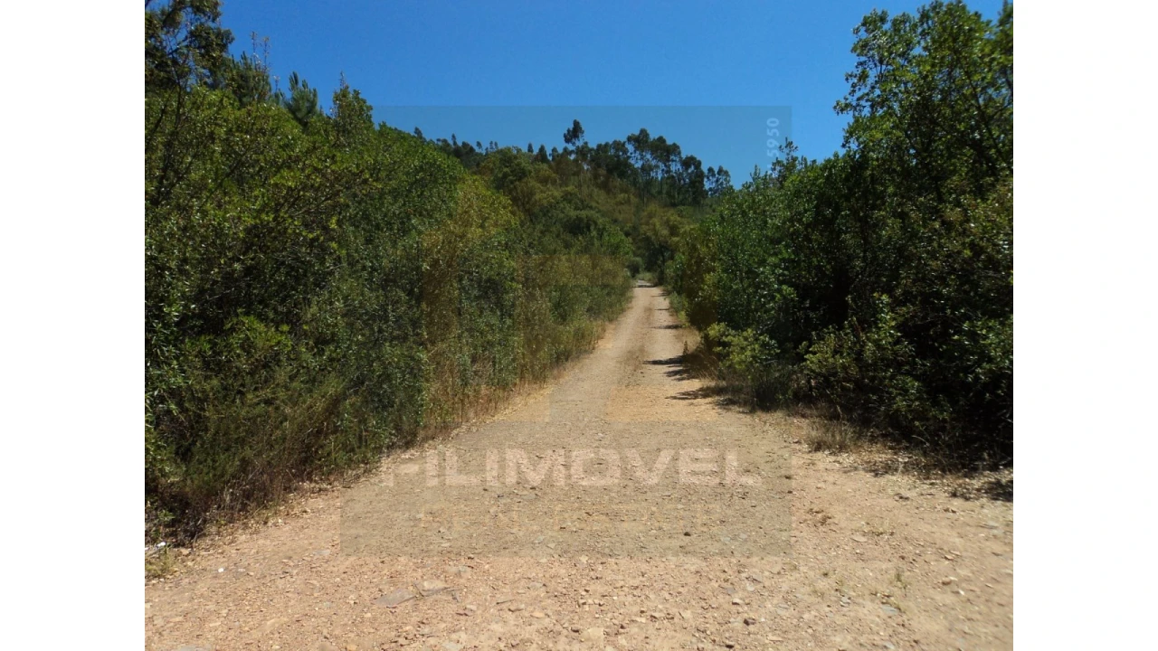 Terreno para Venda em Vila de Rei Foto 6