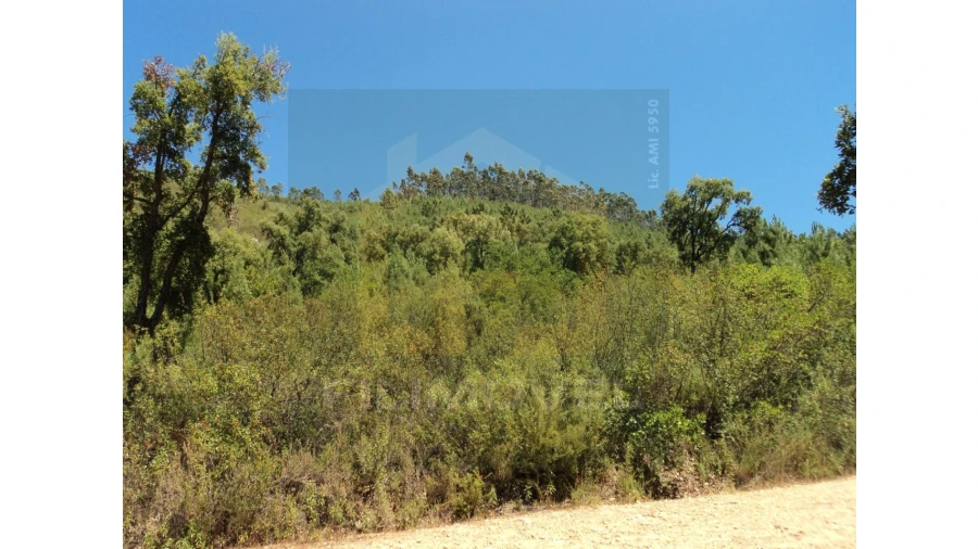 Terreno para Venda em Vila de Rei Foto 4