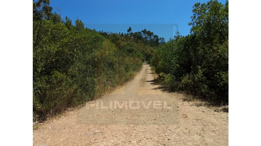 Terreno para Venda em Vila de Rei Foto 6
