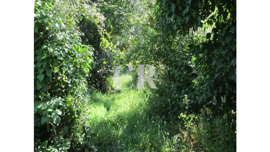 Terreno para Venda em Arrifana Foto 6
