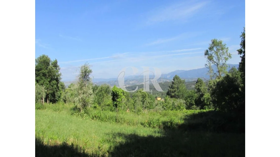 Terreno para Venda em Arrifana Foto 4