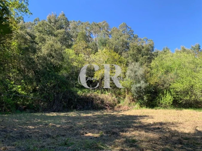 Terreno para Venda em Arrifana Foto 15