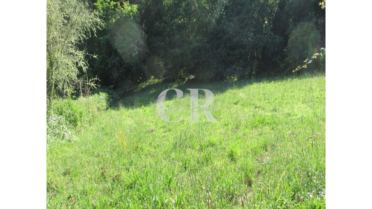 Terreno para Venda em Arrifana Foto 3