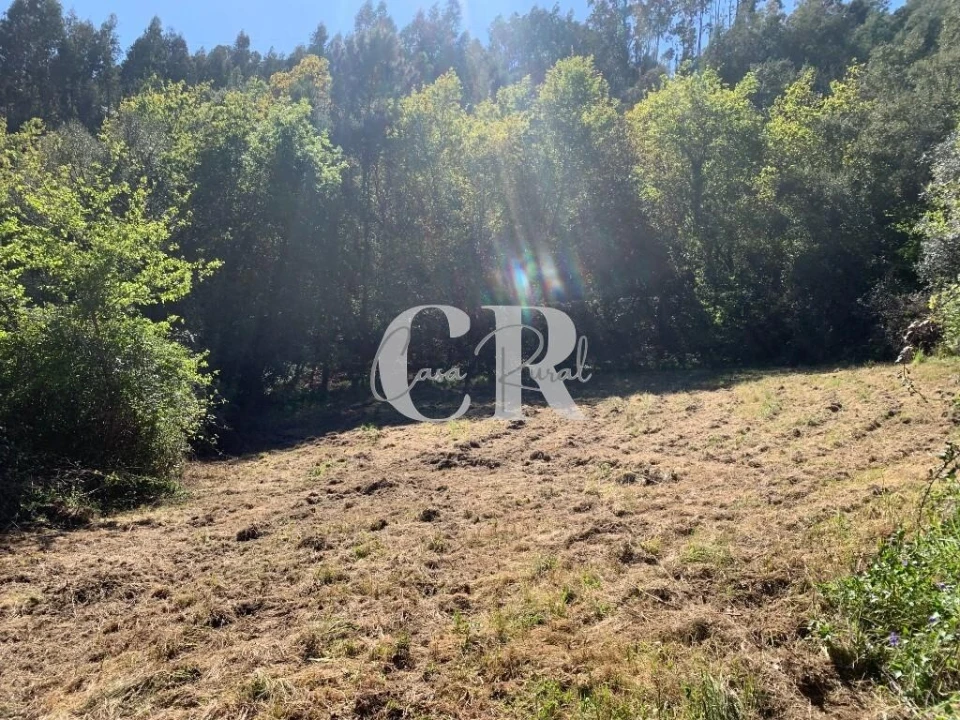 Terreno para Venda em Arrifana Foto 12