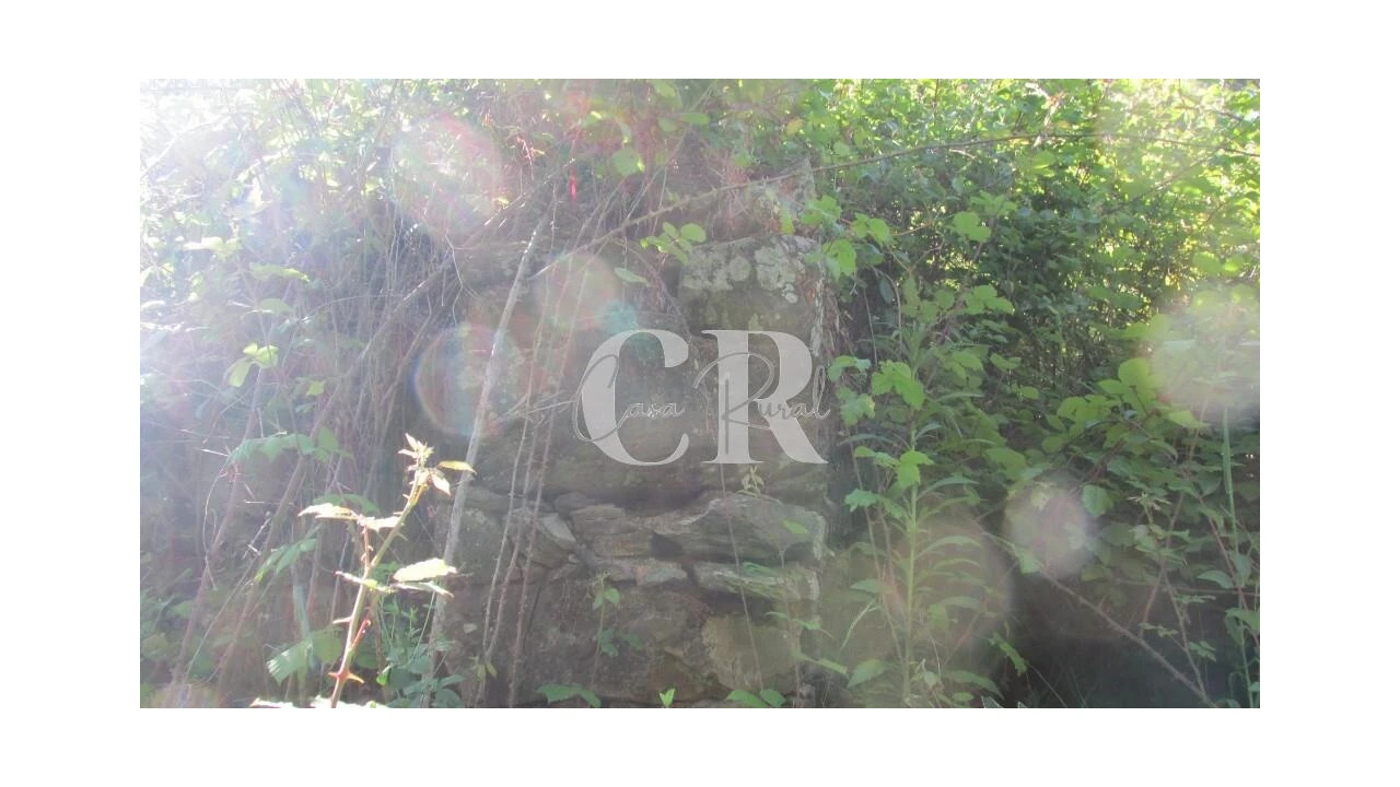 Terreno para Venda em Arrifana Foto 11