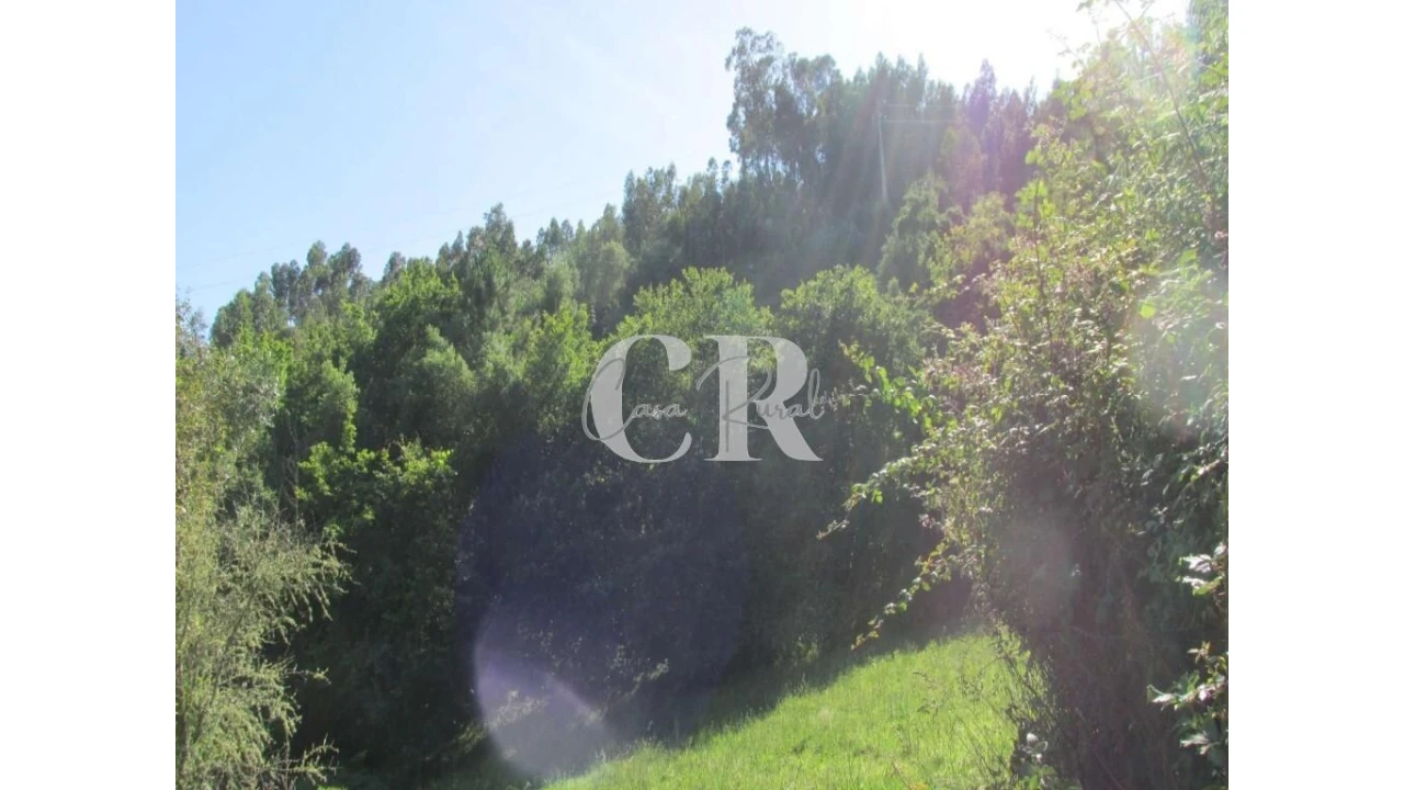 Terreno para Venda em Arrifana Foto 9