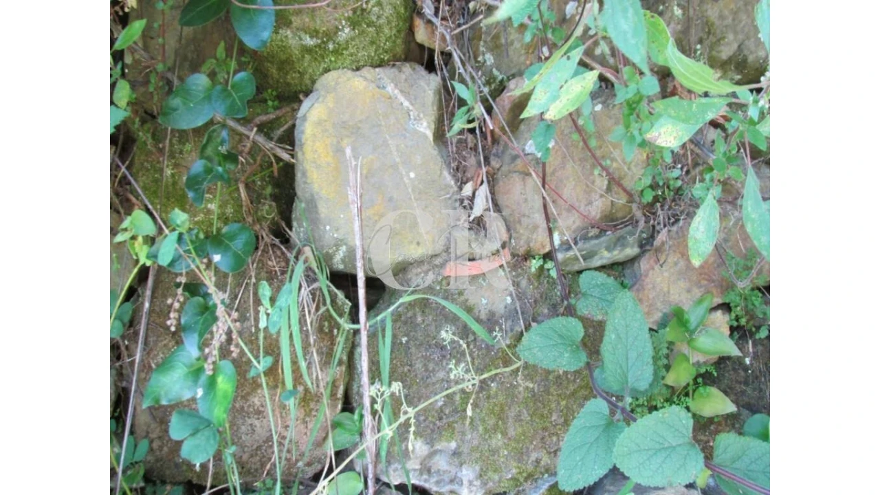 Terreno para Venda em Arrifana Foto 8