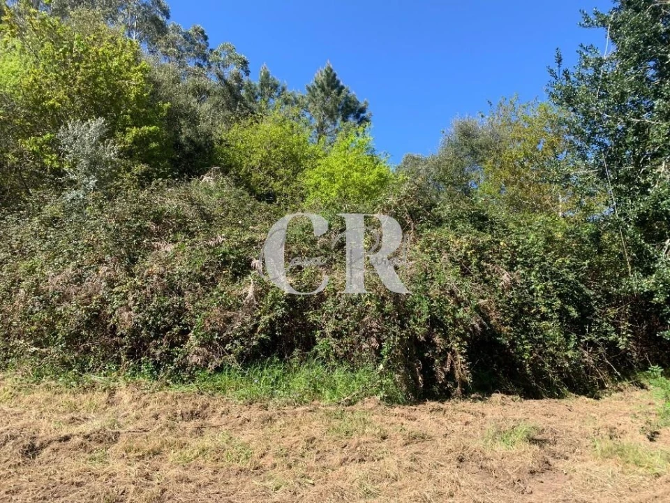 Terreno para Venda em Arrifana Foto 13