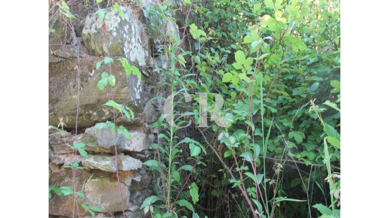 Terreno para Venda em Arrifana Foto 10