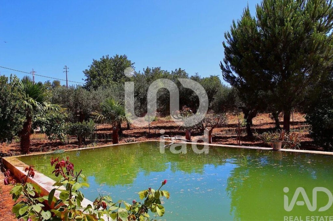 Moradia T3 para Venda em Conceição e Estoi Foto 28