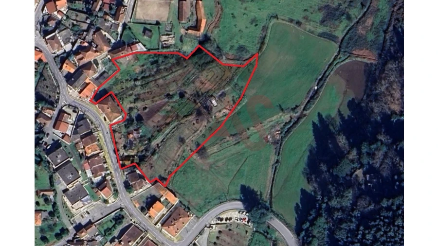 Terreno para Venda em Cristelos, Boim e Ordem