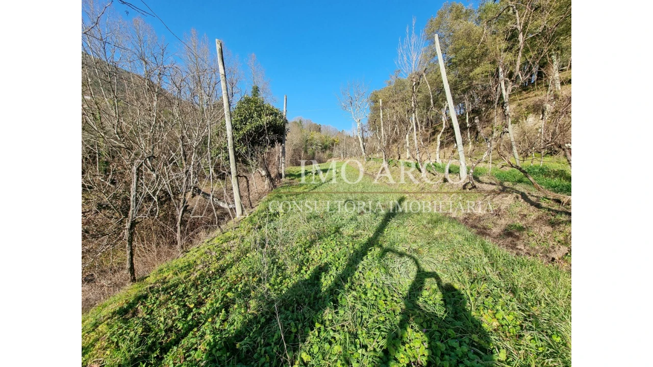 Moradia T3 para Venda em Alvite e Passos Foto 13