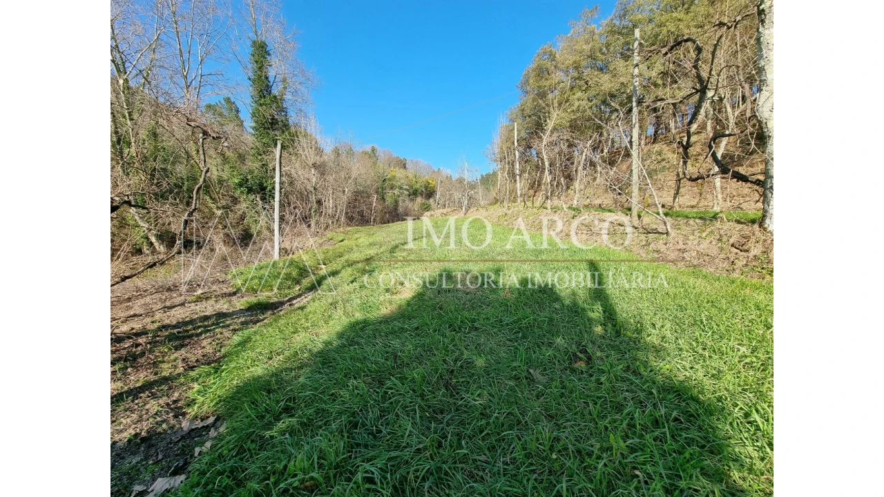 Moradia T3 para Venda em Alvite e Passos Foto 14