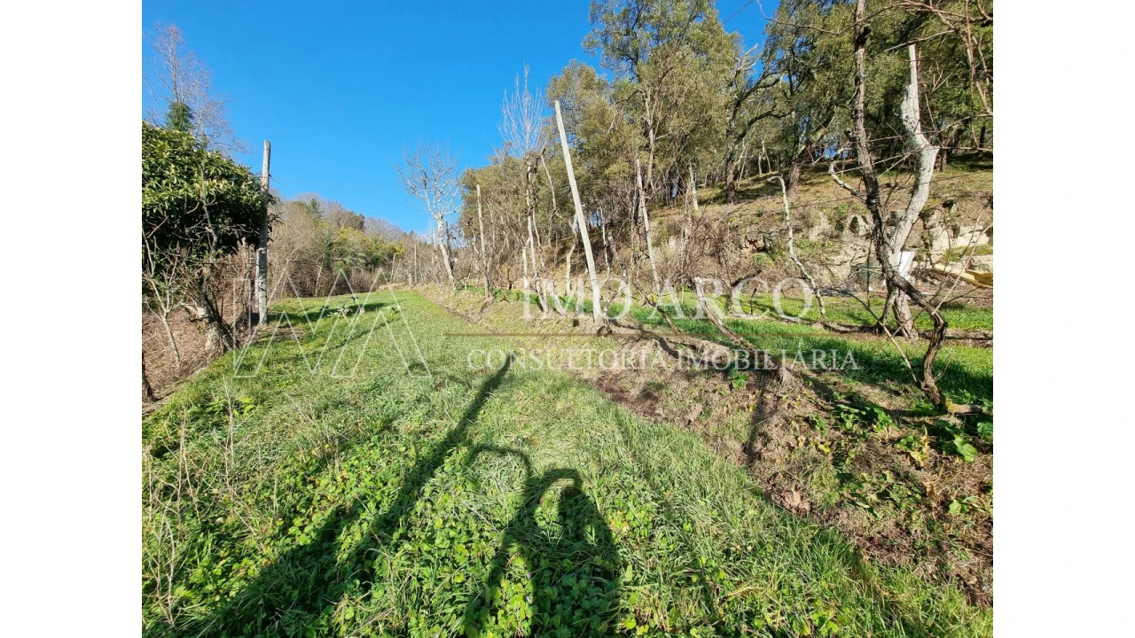 Moradia T3 para Venda em Alvite e Passos Foto 16