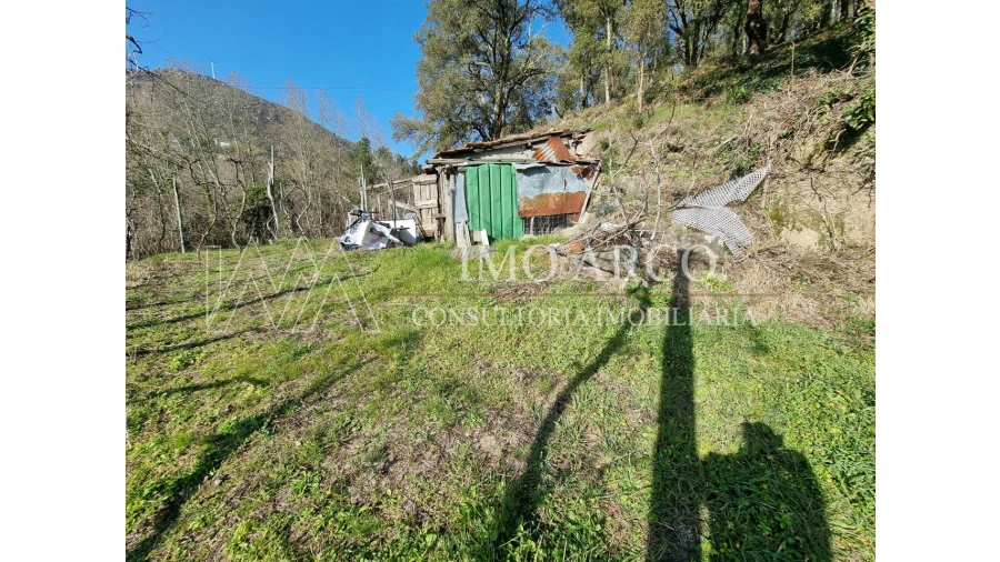 Moradia T3 para Venda em Alvite e Passos Foto 9