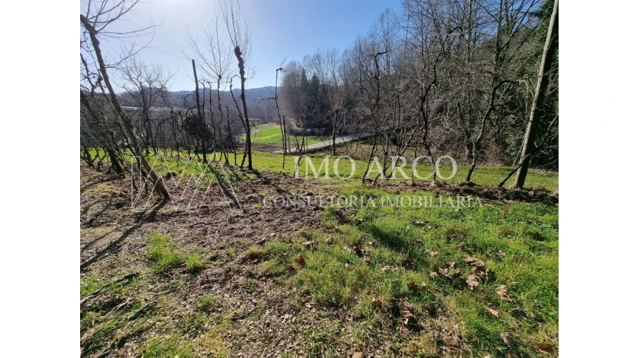 Moradia T3 para Venda em Alvite e Passos Foto 10