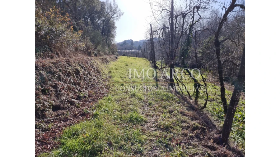 Moradia T3 para Venda em Alvite e Passos Foto 11