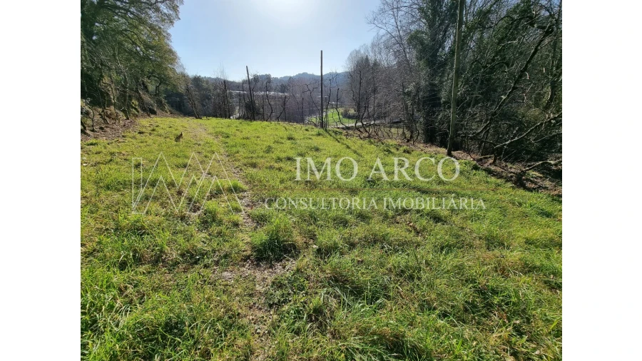 Moradia T3 para Venda em Alvite e Passos Foto 12