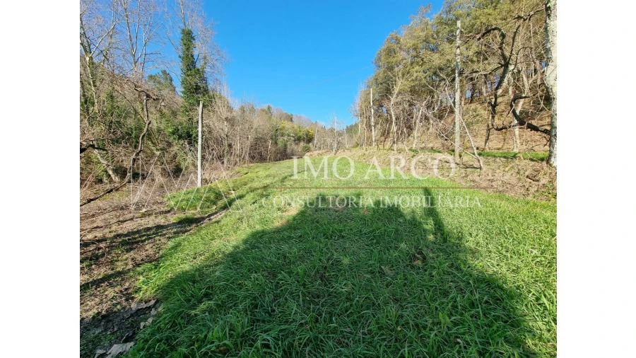 Moradia T3 para Venda em Alvite e Passos Foto 14