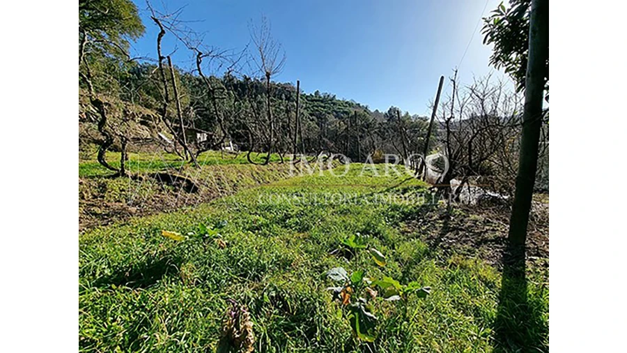 Moradia T3 para Venda em Alvite e Passos Foto 15