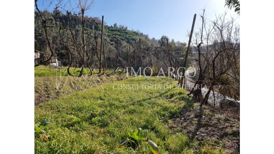 Moradia T3 para Venda em Alvite e Passos Foto 17