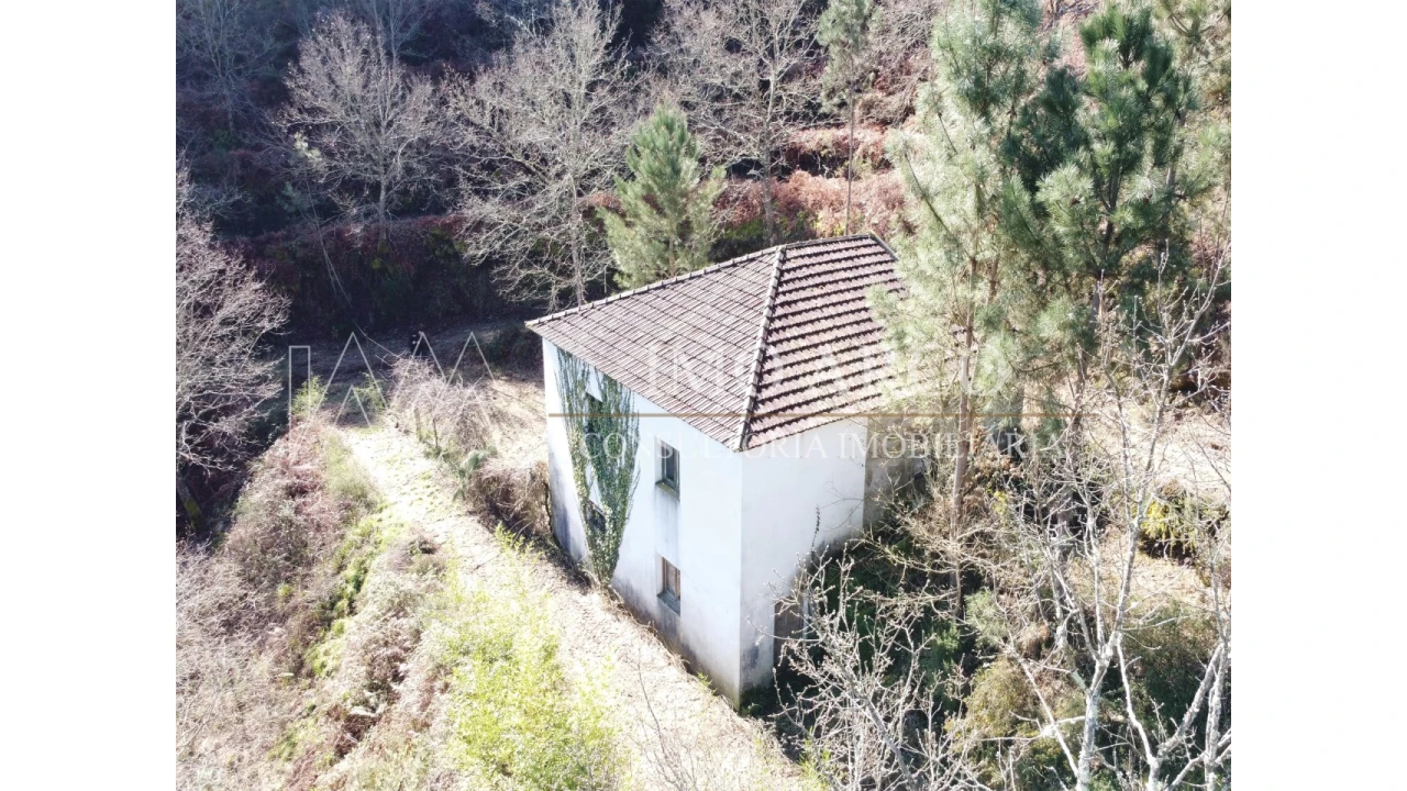 Quinta T3 para Venda em Cerva e Limões Foto 1