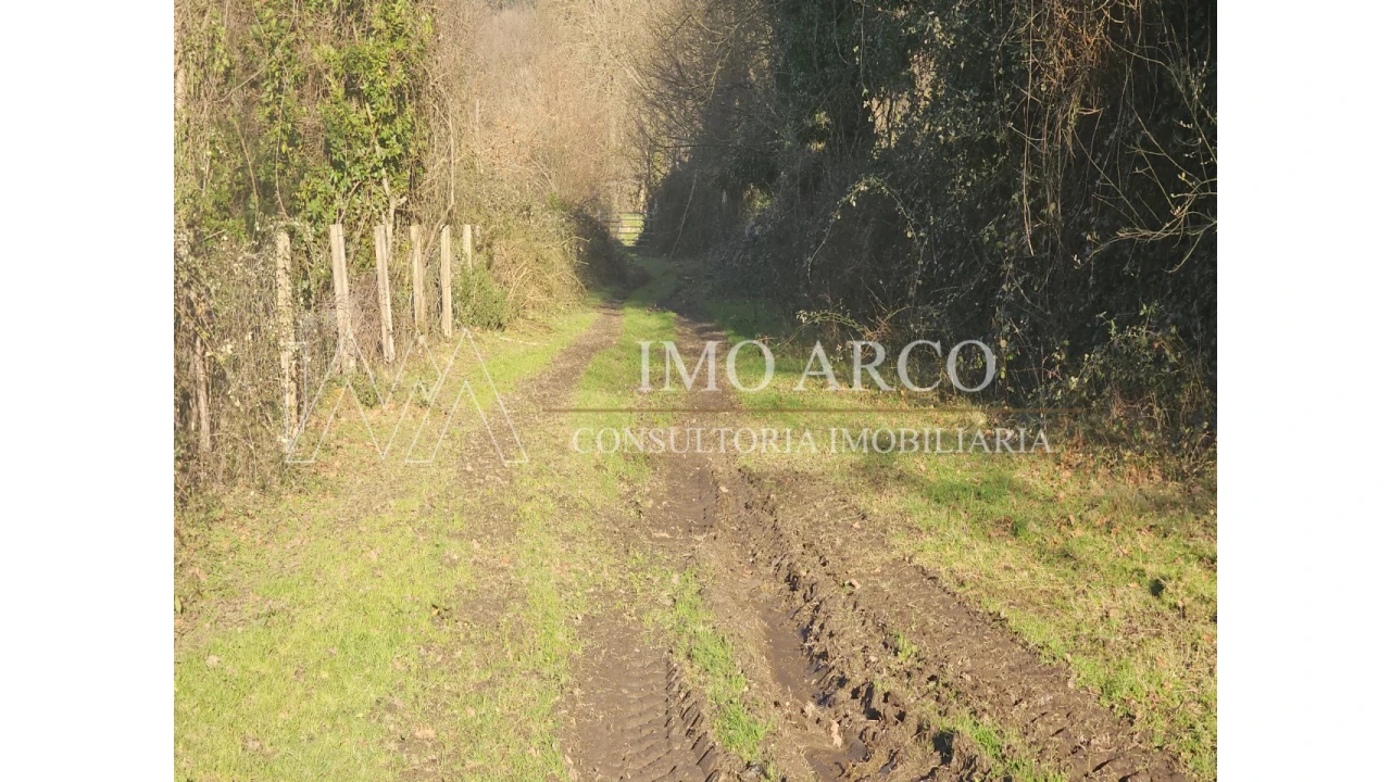 Quinta T3 para Venda em Cerva e Limões Foto 32