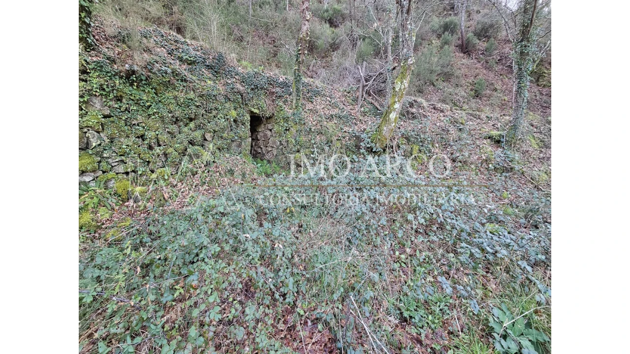 Quinta T3 para Venda em Cerva e Limões Foto 33