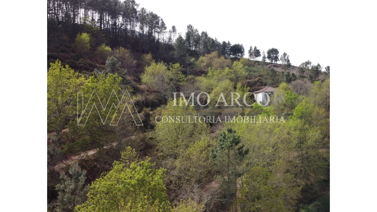 Quinta T3 para Venda em Cerva e Limões Foto 5