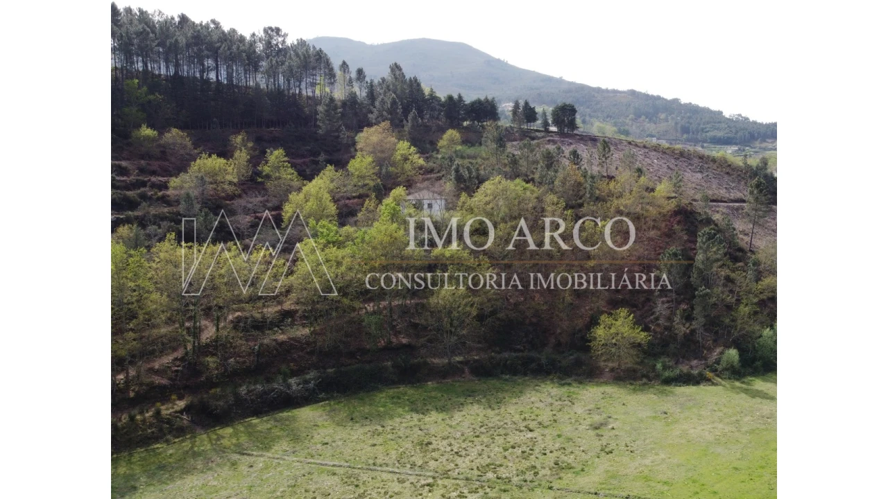 Quinta T3 para Venda em Cerva e Limões Foto 11