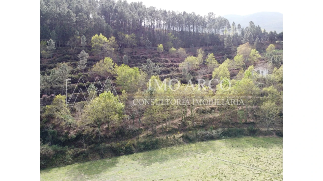 Quinta T3 para Venda em Cerva e Limões Foto 14