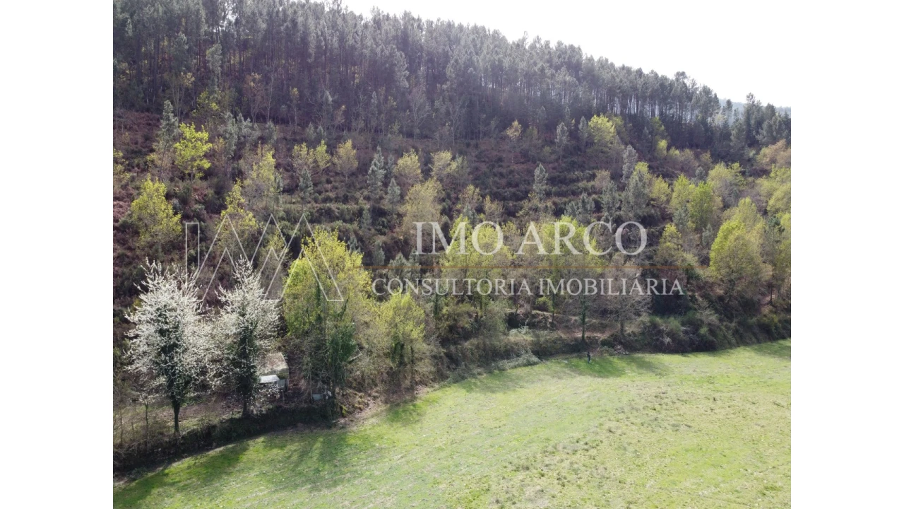 Quinta T3 para Venda em Cerva e Limões Foto 22