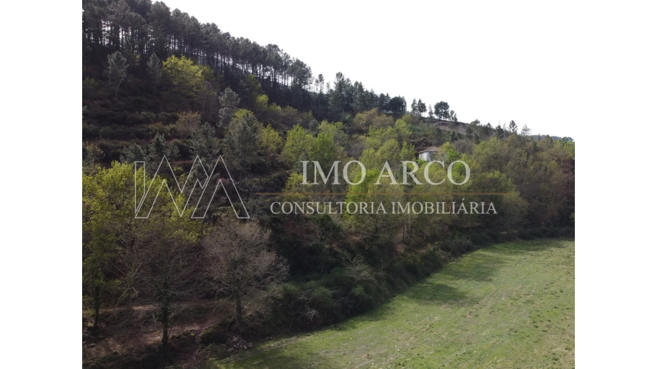 Quinta T3 para Venda em Cerva e Limões Foto 30