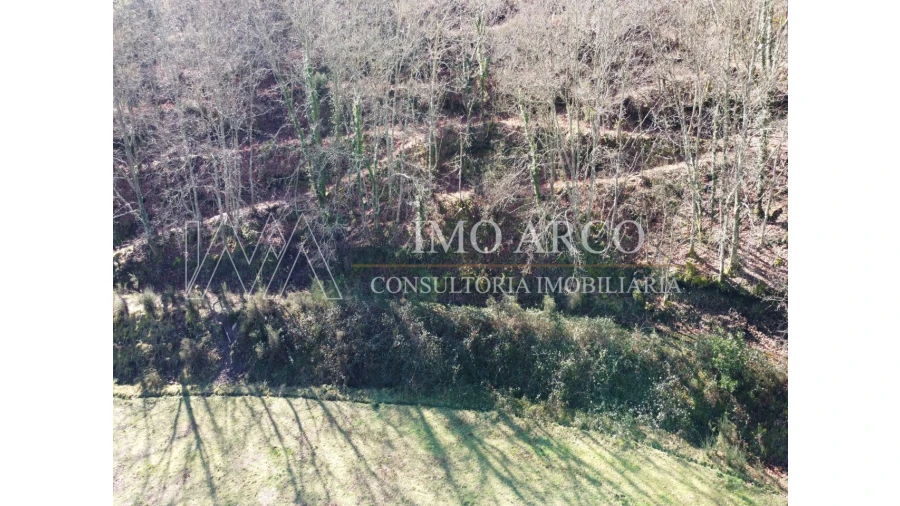 Quinta T3 para Venda em Cerva e Limões Foto 8