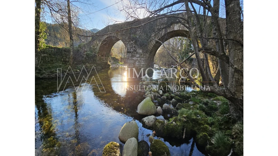 Quinta T3 para Venda em Cerva e Limões Foto 34