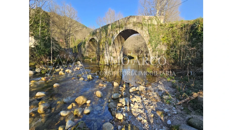 Quinta T3 para Venda em Cerva e Limões Foto 33